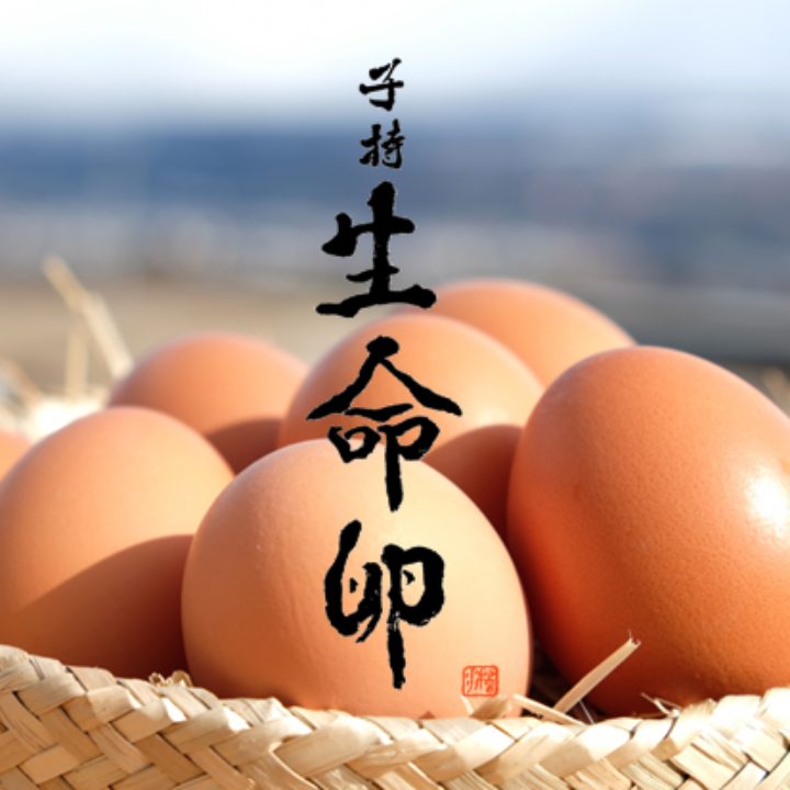 子持生命卵
